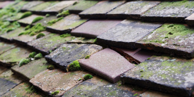 Westhill roof repair costs